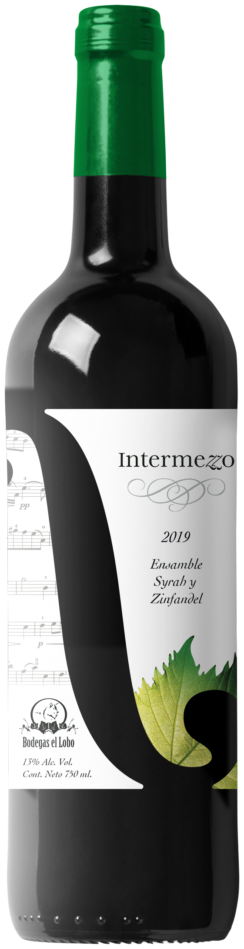 Intermezzo2019-Tienda